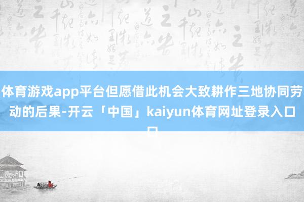 体育游戏app平台但愿借此机会大致耕作三地协同劳动的后果-开云「中国」kaiyun体育网址登录入口
