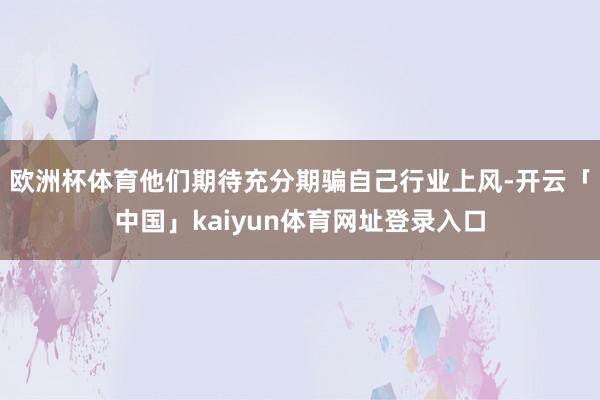 欧洲杯体育他们期待充分期骗自己行业上风-开云「中国」kaiyun体育网址登录入口