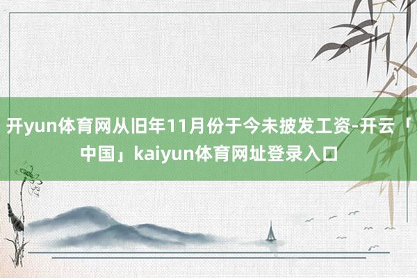 开yun体育网从旧年11月份于今未披发工资-开云「中国」kaiyun体育网址登录入口