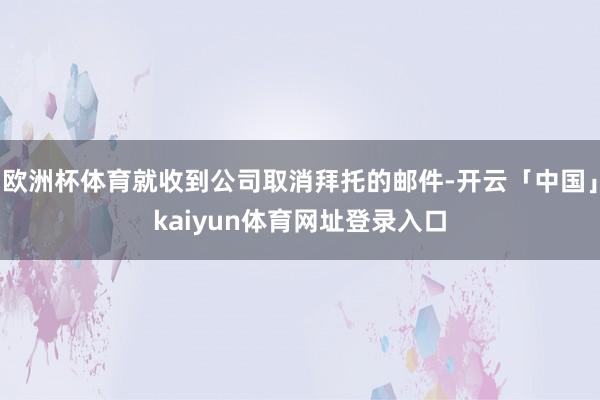 欧洲杯体育就收到公司取消拜托的邮件-开云「中国」kaiyun体育网址登录入口