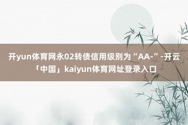 开yun体育网永02转债信用级别为“AA-”-开云「中国」kaiyun体育网址登录入口