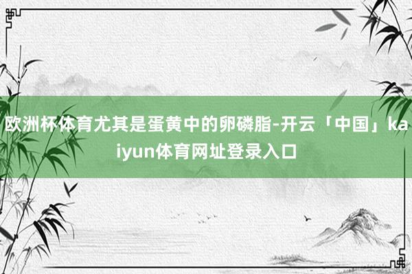 欧洲杯体育尤其是蛋黄中的卵磷脂-开云「中国」kaiyun体育网址登录入口