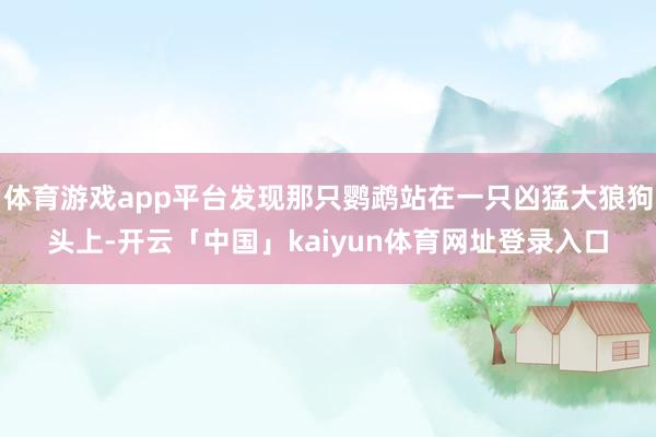 体育游戏app平台发现那只鹦鹉站在一只凶猛大狼狗头上-开云「中国」kaiyun体育网址登录入口