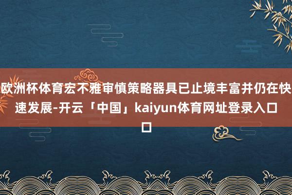 欧洲杯体育宏不雅审慎策略器具已止境丰富并仍在快速发展-开云「中国」kaiyun体育网址登录入口